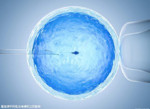 供卵包生男孩